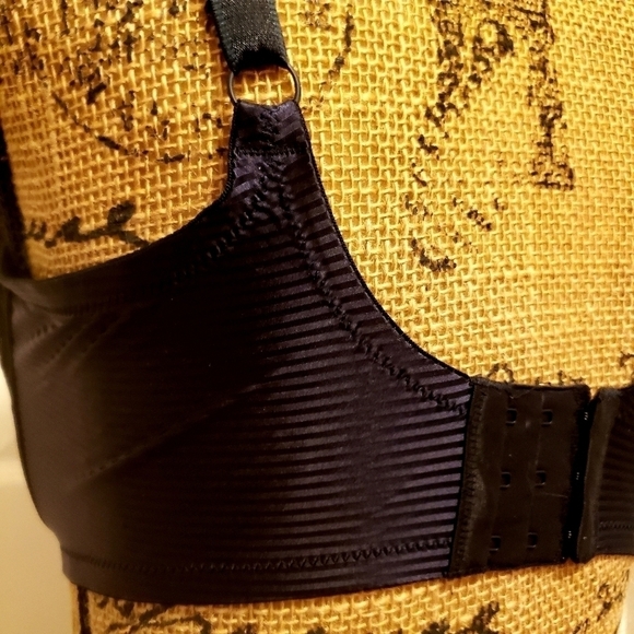 Whimsy Sheer Black Lace Bra 36DDD Sexy Valentine Lingerie Rhinestone Detail EUC - Picture 5 of 7